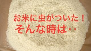 お米に虫がついた時は どうしたらいいの お米農家がお答えします 石川県の農家直販 豊かなお米と加賀丸いもなら岡元農場