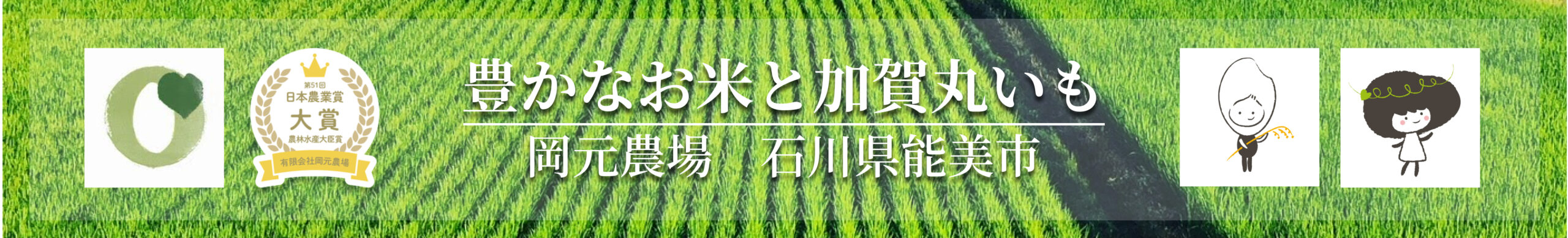 石川県の農家直販・おいしいお米と加賀丸いもなら岡元農場
