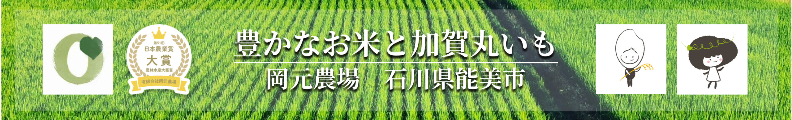 石川県の農家直販・おいしいお米と加賀丸いもなら岡元農場
