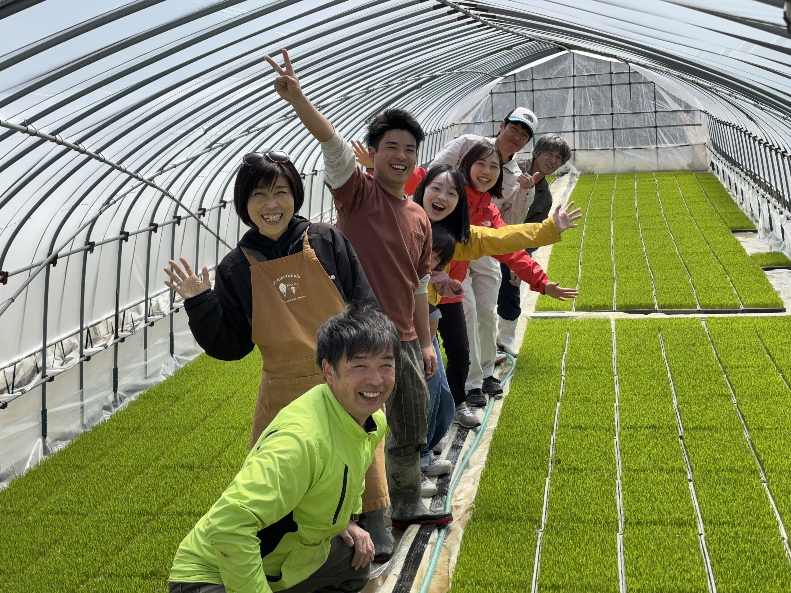 2024（令和6年）新米はいつから？ | 豊かなお米と加賀丸いも 岡元農場 