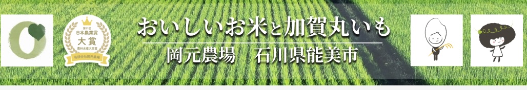 石川県の農家直販・おいしいお米と加賀丸いもなら岡元農場